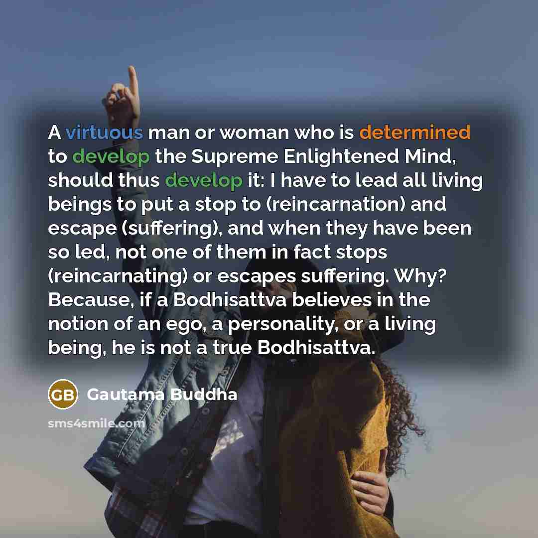 “A virtuous man or woman who is determined to develop the Supreme Enlightened Mind, should thus develop it: I have to lead all living beings to put a stop to (reincarnation) and escape (suffering), and when they have been so led, not one of them in fact stops (reincarnating) or escapes suffering…” quote by Gautama Buddha