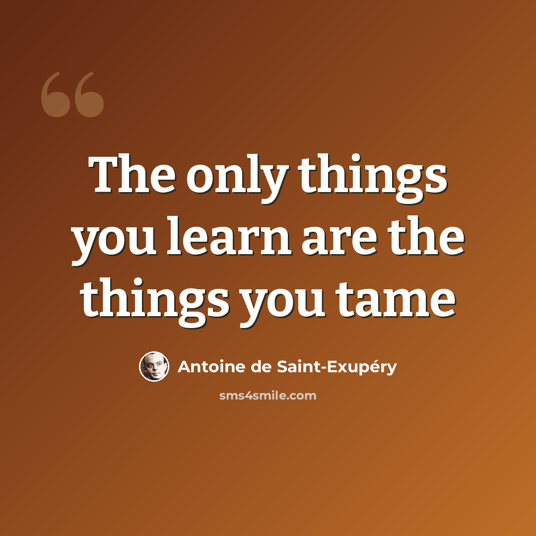 “The only things you learn are the things you tame” quote by Antoine de Saint-Exupery