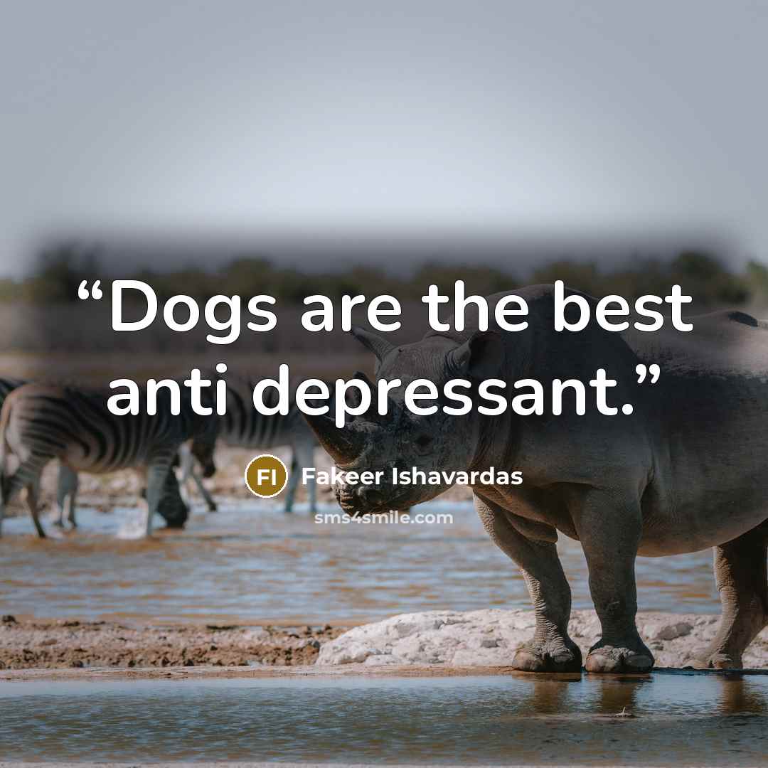 “Dogs are the best anti depressant.” quote by Fakeer Ishavardas