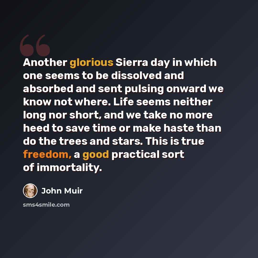 “Another glorious Sierra day in which one seems to be dissolved and absorbed and sent pulsing onward we know not where. Life seems neither long nor short, and we take no more heed to save time or make haste than do the trees and stars. This is true freedom, a good practical sort of immortality.” quote by John Muir