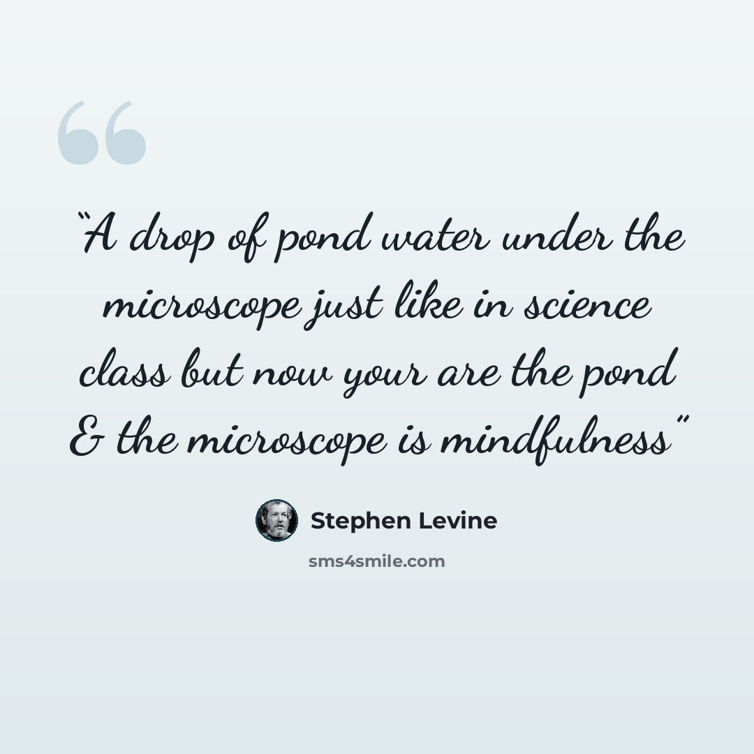 “A drop of pond water under the microscope just like in science class but now your are the pond & the microscope is mindfulness” quote by Stephen Levine