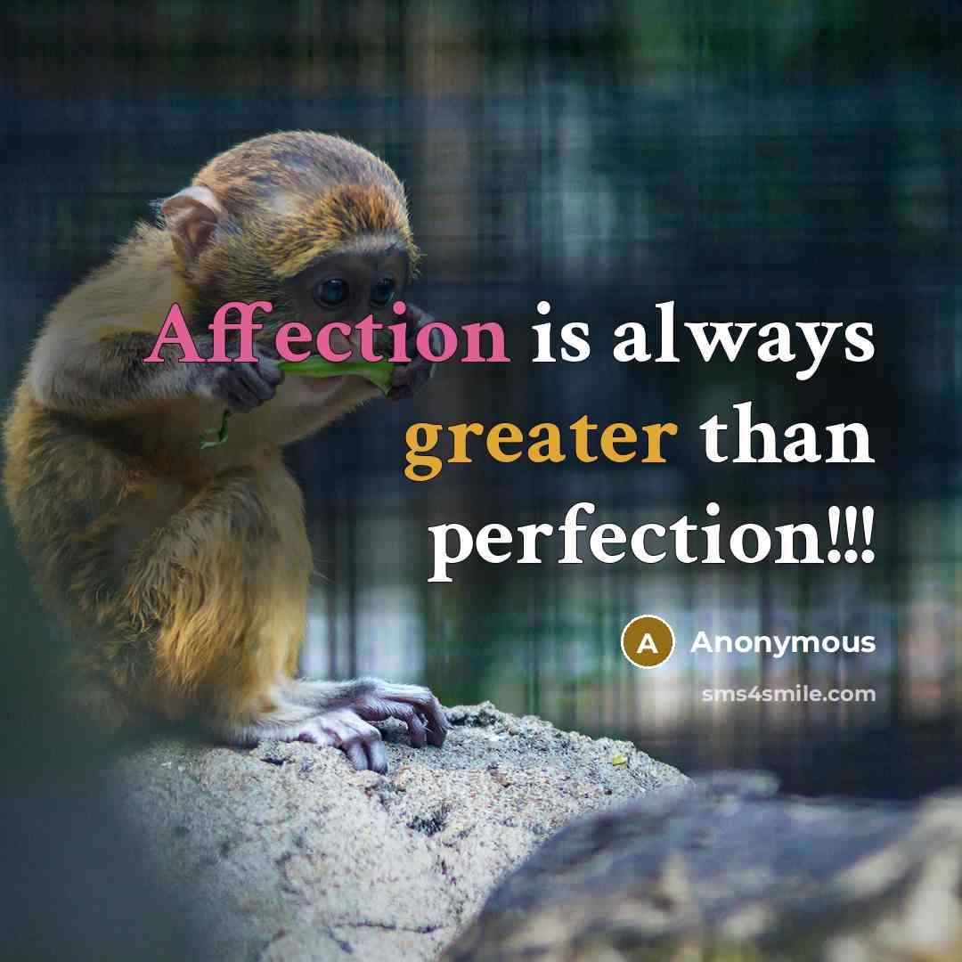 “Affection is always greater than perfection!!!” quote by Anonymous