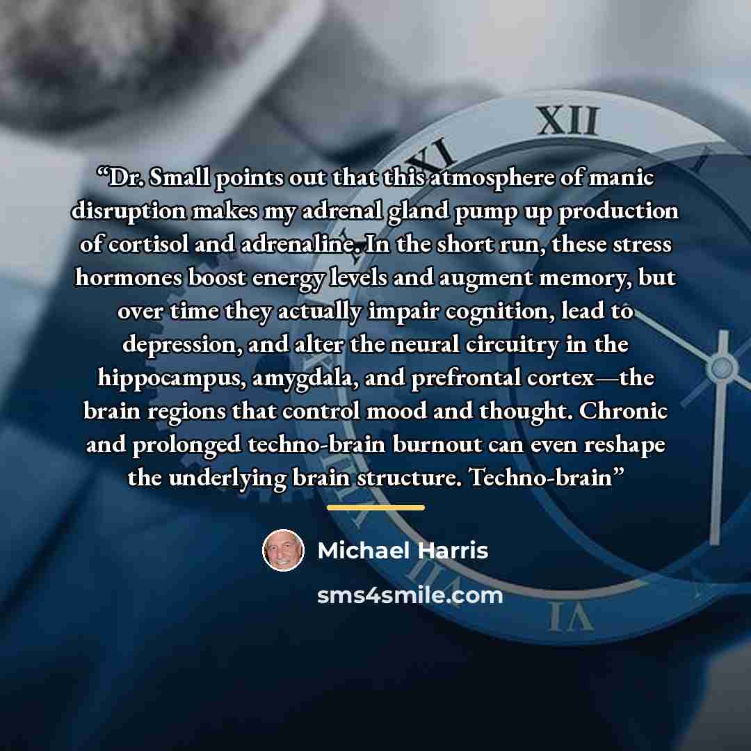 “Dr. Small points out that this atmosphere of manic disruption makes my adrenal gland pump up production of cortisol and adrenaline. In the short run, these stress hormones boost energy levels and augment memory, but over time they actually impair cognition, lead to depression, and alter the neural…” quote by Michael Harris