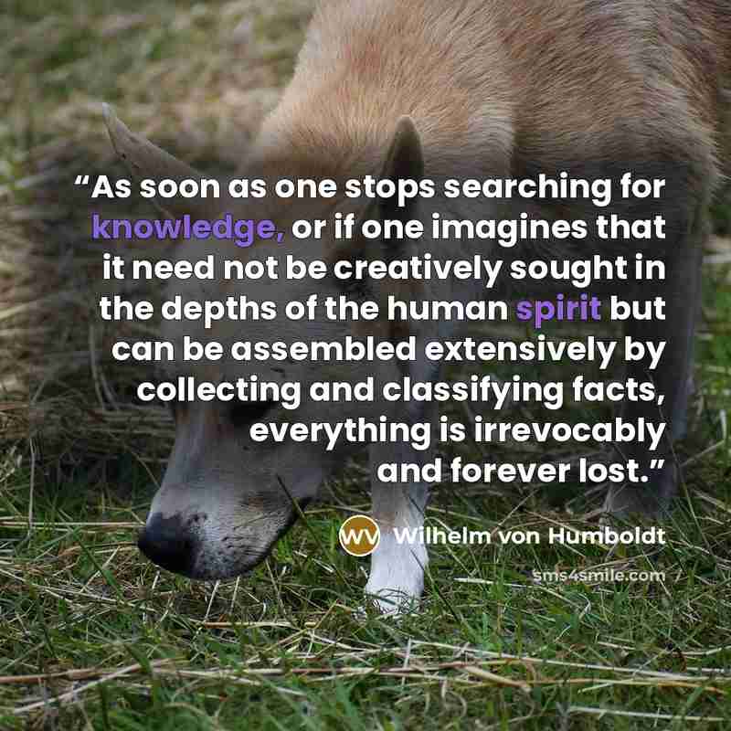“As soon as one stops searching for knowledge, or if one imagines that it need not be creatively sought in the depths of the human spirit but can be assembled extensively by collecting and classifying facts, everything is irrevocably and forever lost.” quote by Wilhelm Von Humboldt