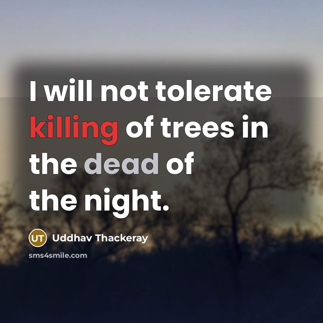 “I will not tolerate killing of trees in the dead of the night.” quote by Uddhav Thackeray