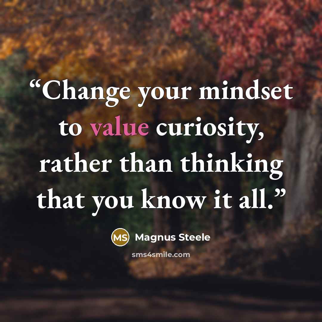 “Change your mindset to value curiosity, rather than thinking that you know it all.” quote by Magnus Steele