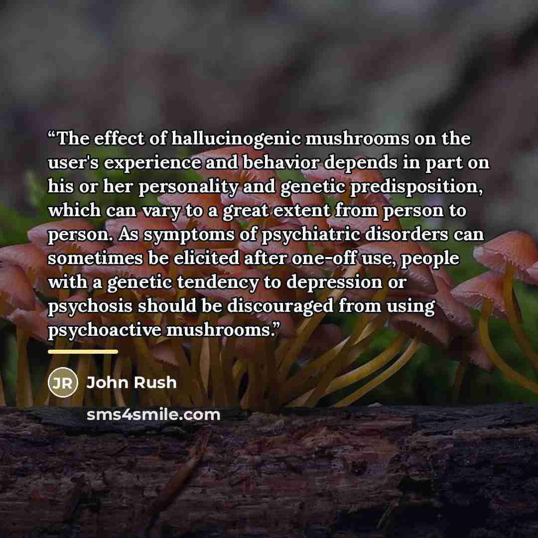 “The effect of hallucinogenic mushrooms on the user's experience and behavior depends in part on his or her personality and genetic predisposition, which can vary to a great extent from person to person. As symptoms of psychiatric disorders can sometimes be elicited after one-off use, people with a…” quote by John Rush