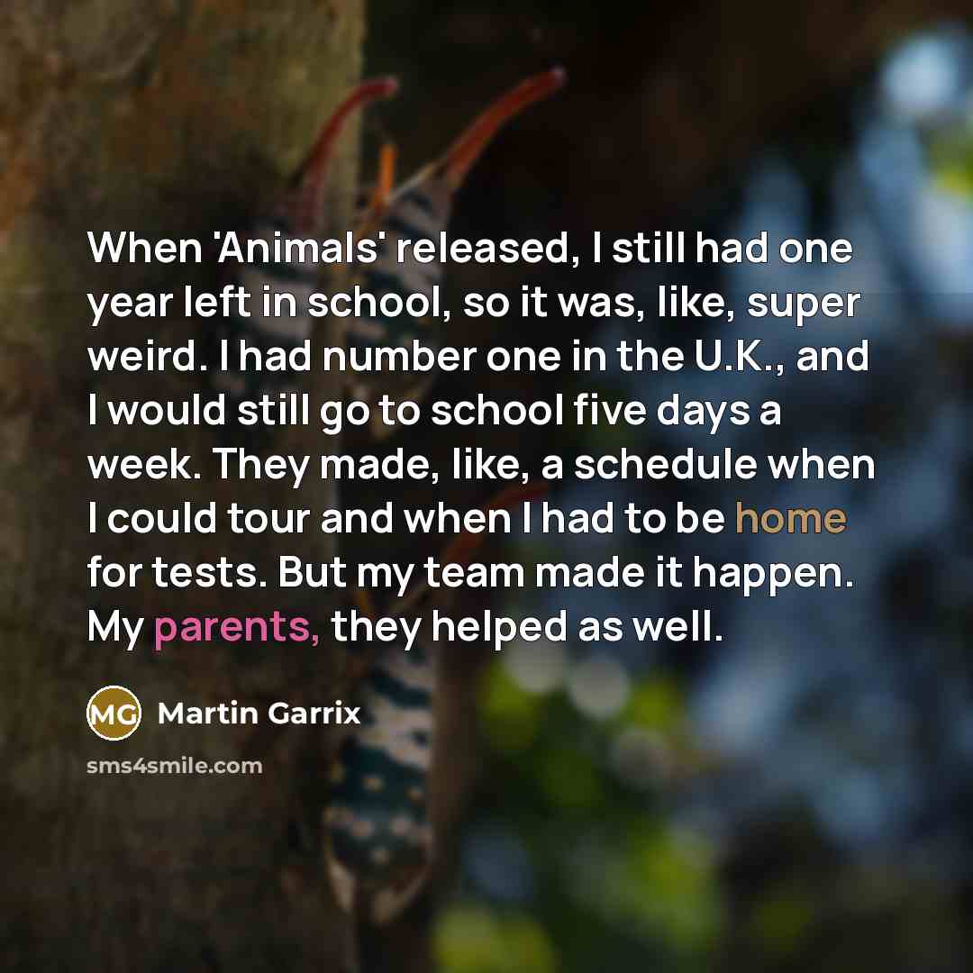 “When 'Animals' released, I still had one year left in school, so it was, like, super weird. I had number one in the U.K., and I would still go to school five days a week. They made, like, a schedule when I could tour and when I had to be home for tests. But my team made it happen. My parents, they…” quote by Martin Garrix