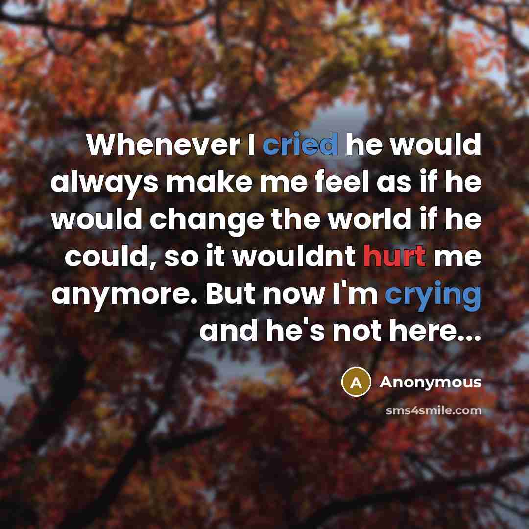 “Whenever I cried he would always make me feel as if he would change the world if he could, so it wouldnt hurt me anymore. But now I'm crying and he's not here...” quote by Anonymous
