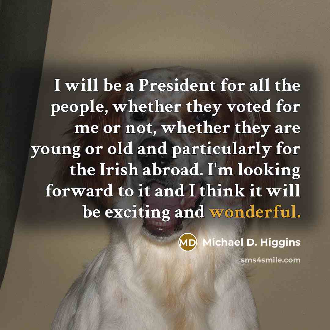 “I will be a President for all the people, whether they voted for me or not, whether they are young or old and particularly for the Irish abroad. I'm looking forward to it and I think it will be exciting and wonderful.” quote by Michael D. Higgins