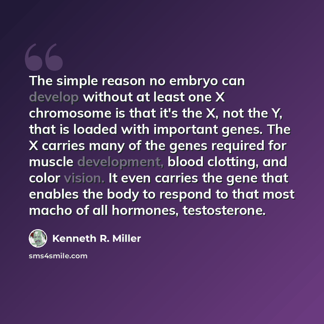 “The simple reason no embryo can develop without at least one X chromosome is that it's the X, not the Y, that is loaded with important genes. The X carries many of the genes required for muscle development, blood clotting, and color vision. It even carries the gene that enables the body to respond…” quote by Kenneth R. Miller