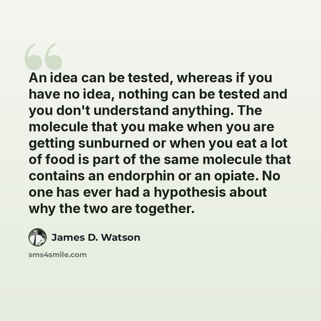 “An idea can be tested, whereas if you have no idea, nothing can be tested and you don't understand anything. The molecule that you make when you are getting sunburned or when you eat a lot of food is part of the same molecule that contains an endorphin or an opiate. No one has ever had a…” quote by James D. Watson