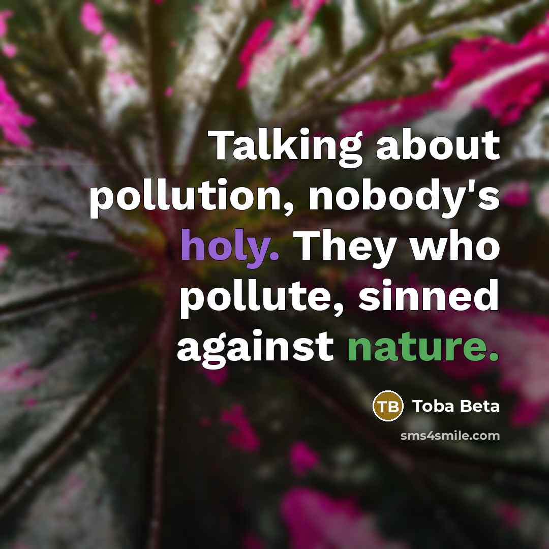 “Talking about pollution, nobody's holy. They who pollute, sinned against nature.” quote by Toba Beta