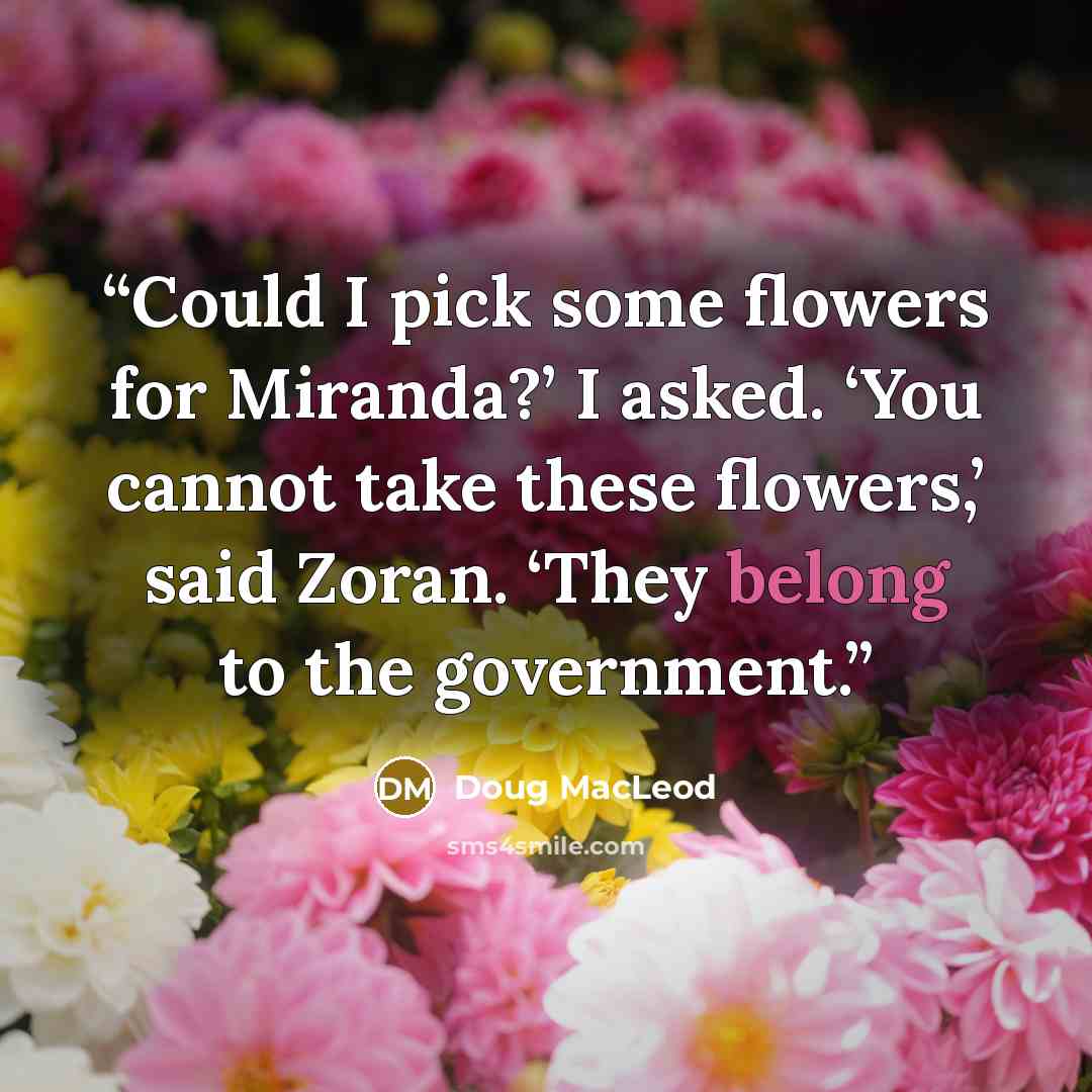 “Could I pick some flowers for Miranda?’ I asked. ‘You cannot take these flowers,’ said Zoran. ‘They belong to the government.” quote by Doug MacLeod
