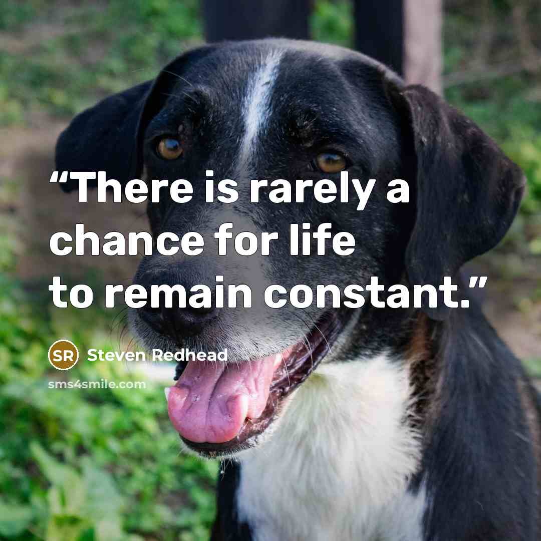 “There is rarely a chance for life to remain constant.” quote by Steven Redhead
