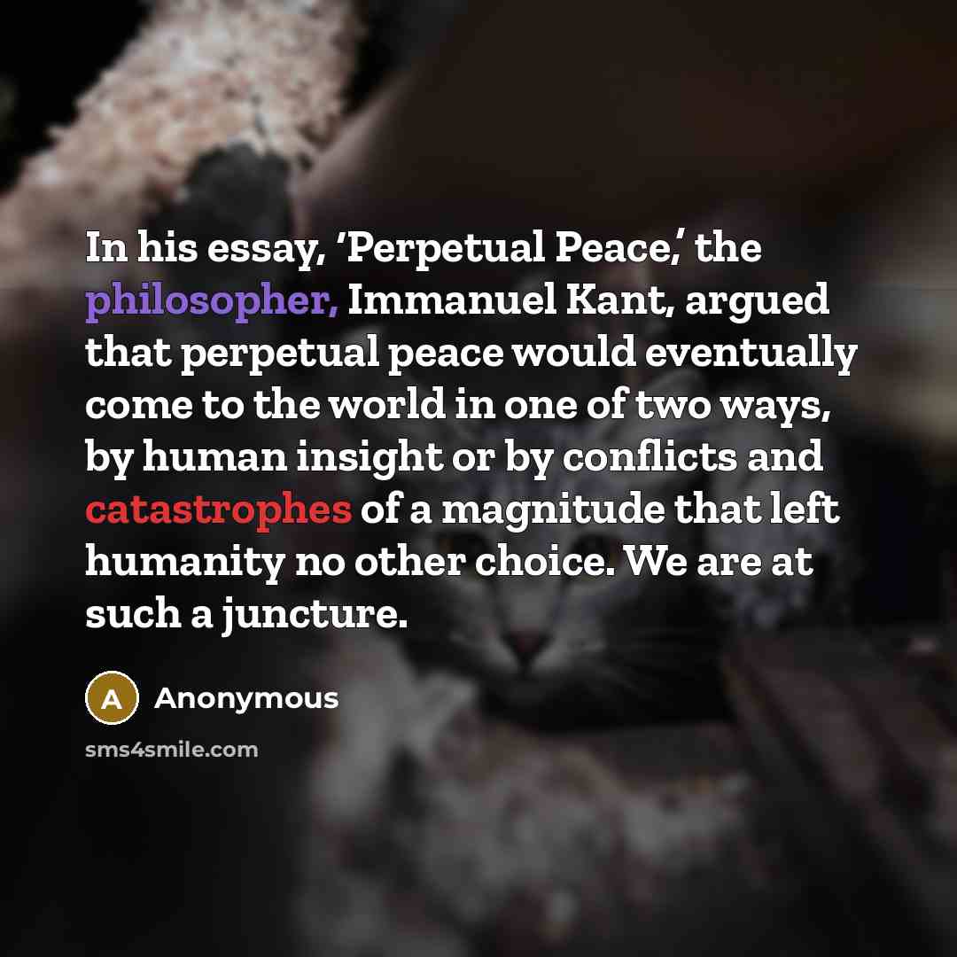 “In his essay, ‘Perpetual Peace,’ the philosopher, Immanuel Kant, argued that perpetual peace would eventually come to the world in one of two ways, by human insight or by conflicts and catastrophes of a magnitude that left humanity no other choice. We are at such a juncture.” quote by Anonymous