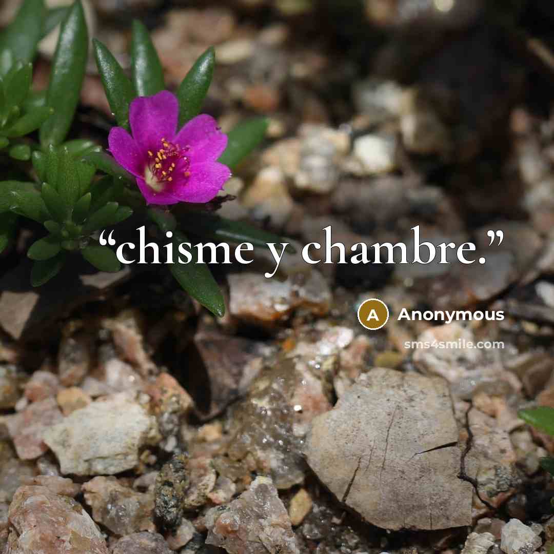 “chisme y chambre.” quote by Anonymous