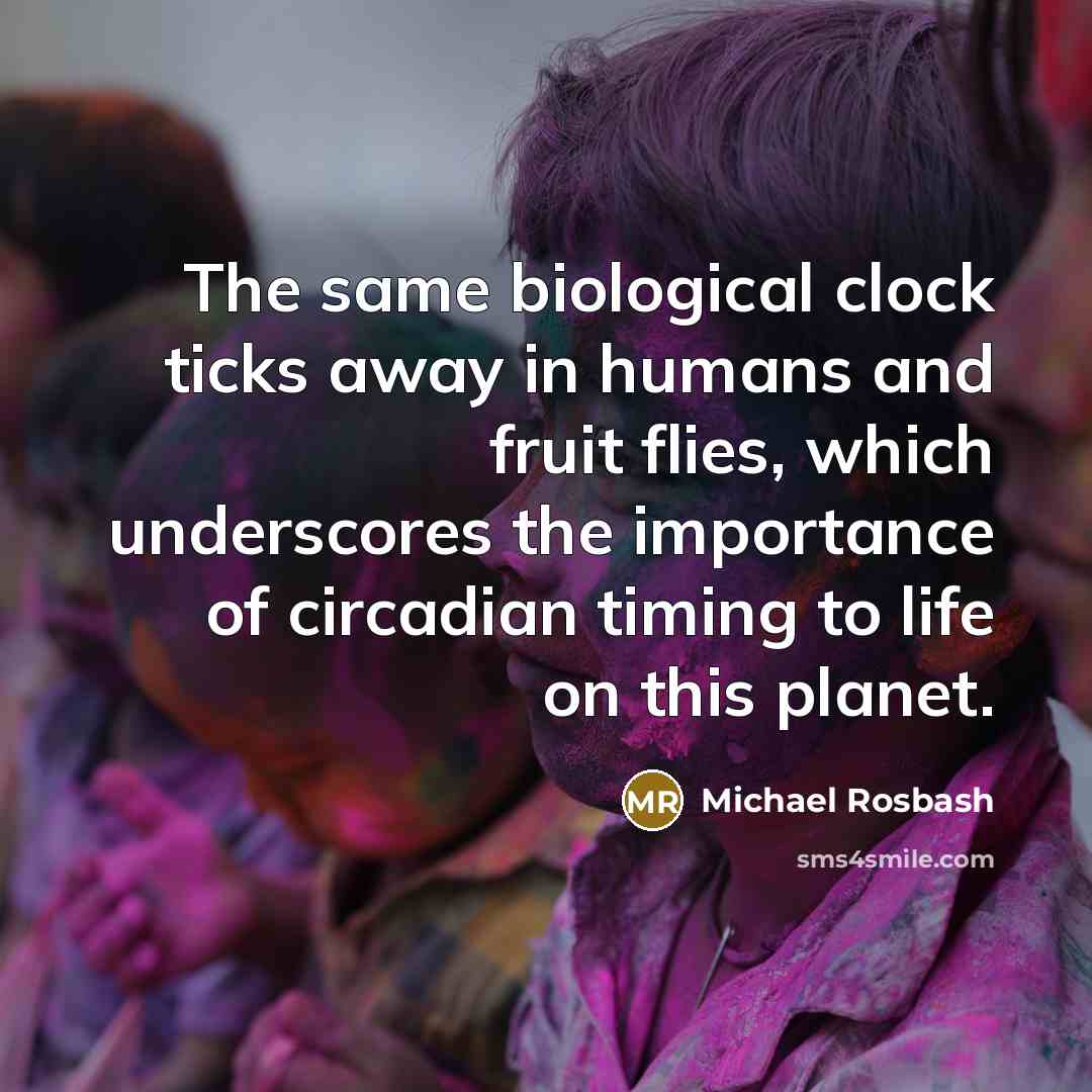“The same biological clock ticks away in humans and fruit flies, which underscores the importance of circadian timing to life on this planet.” quote by Michael Rosbash