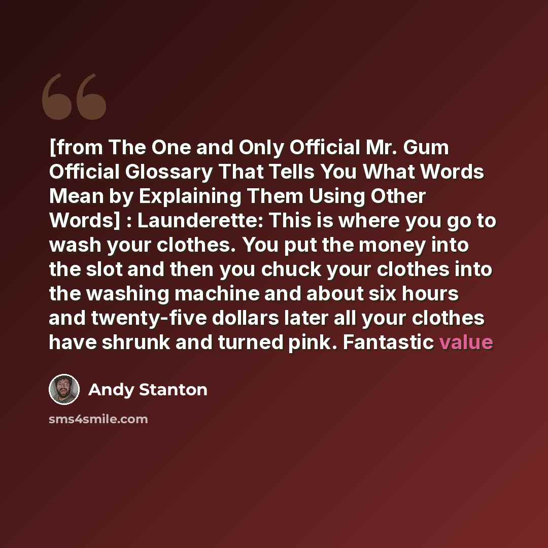 “[from The One and Only Official Mr. Gum Official Glossary That Tells You What Words Mean by Explaining Them Using Other Words] : Launderette: This is where you go to wash your clothes. You put the money into the slot and then you chuck your clothes into the washing machine and about six hours and…” quote by Andy Stanton