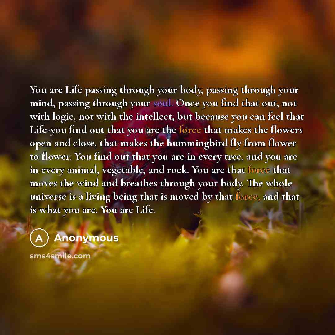 “You are Life passing through your body, passing through your mind, passing through your soul. Once you find that out, not with logic, not with the intellect, but because you can feel that Life-you find out that you are the force that makes the flowers open and close, that makes the hummingbird fly…” quote by Anonymous