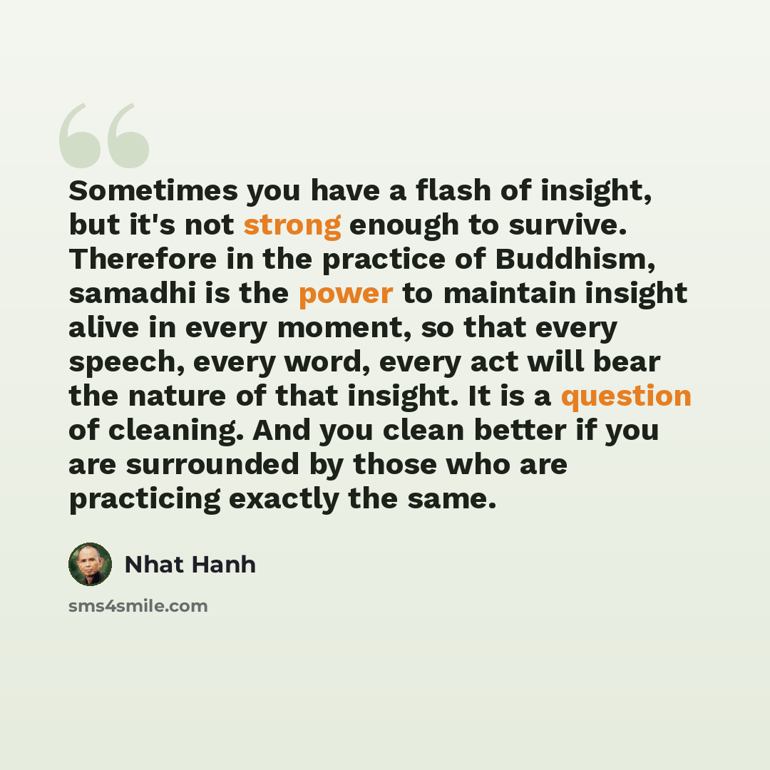 “Sometimes you have a flash of insight, but it's not strong enough to survive. Therefore in the practice of Buddhism, samadhi is the power to maintain insight alive in every moment, so that every speech, every word, every act will bear the nature of that insight. It is a question of cleaning. And…” quote by Nhat Hanh