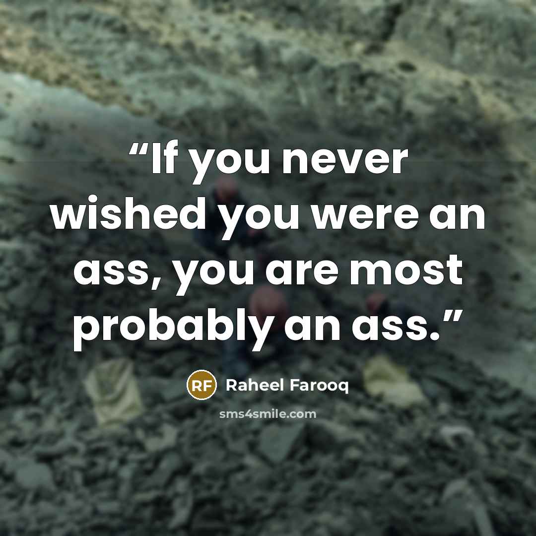 “If you never wished you were an ass, you are most probably an ass.” quote by Raheel Farooq