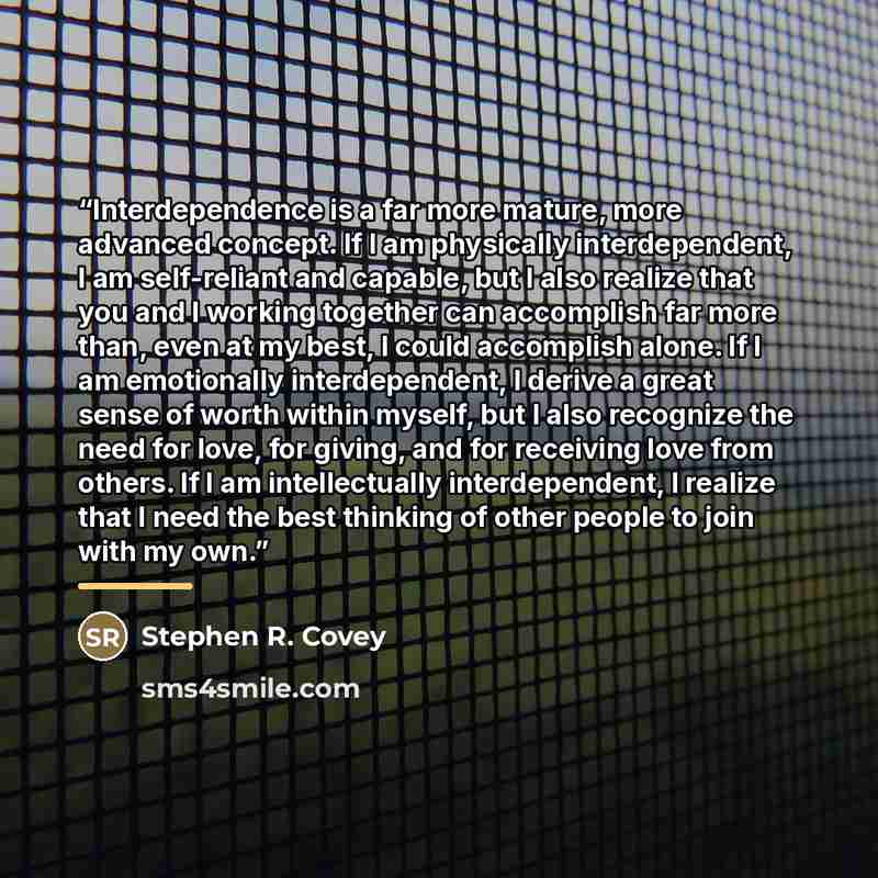 “Interdependence is a far more mature, more advanced concept. If I am physically interdependent, I am self-reliant and capable, but I also realize that you and I working together can accomplish far more than, even at my best, I could accomplish alone. If I am emotionally interdependent, I derive a…” quote by Stephen R. Covey