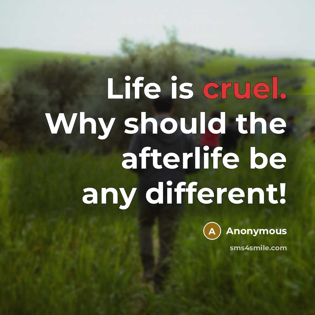 “Life is cruel. Why should the afterlife be any different!” quote by Anonymous