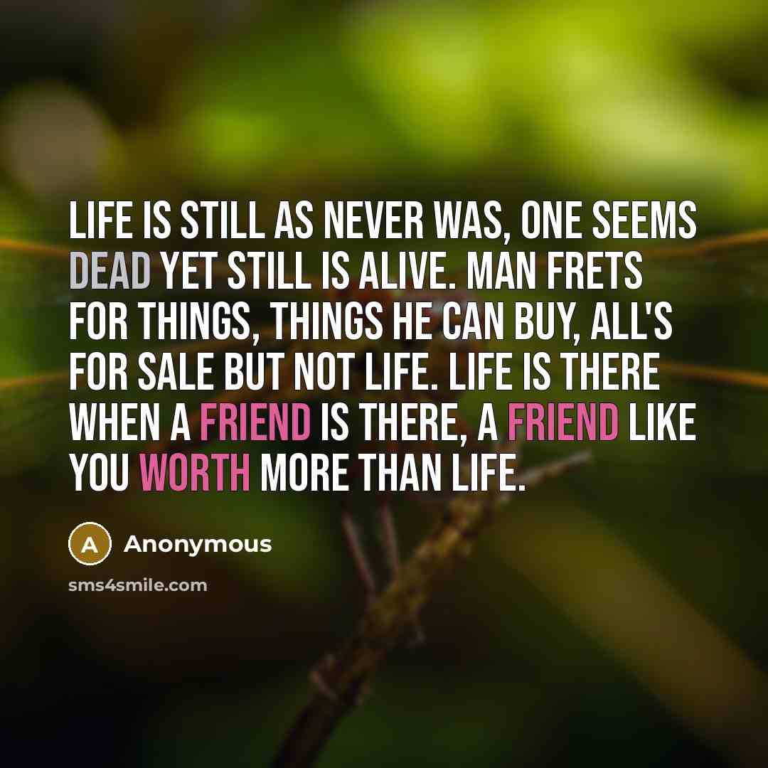 “Life is still as never was, One Seems dead yet still is alive. Man frets for things, things he can buy, All's for sale but not life. Life is there when a friend is there, A friend like you worth more than life.” quote by Anonymous