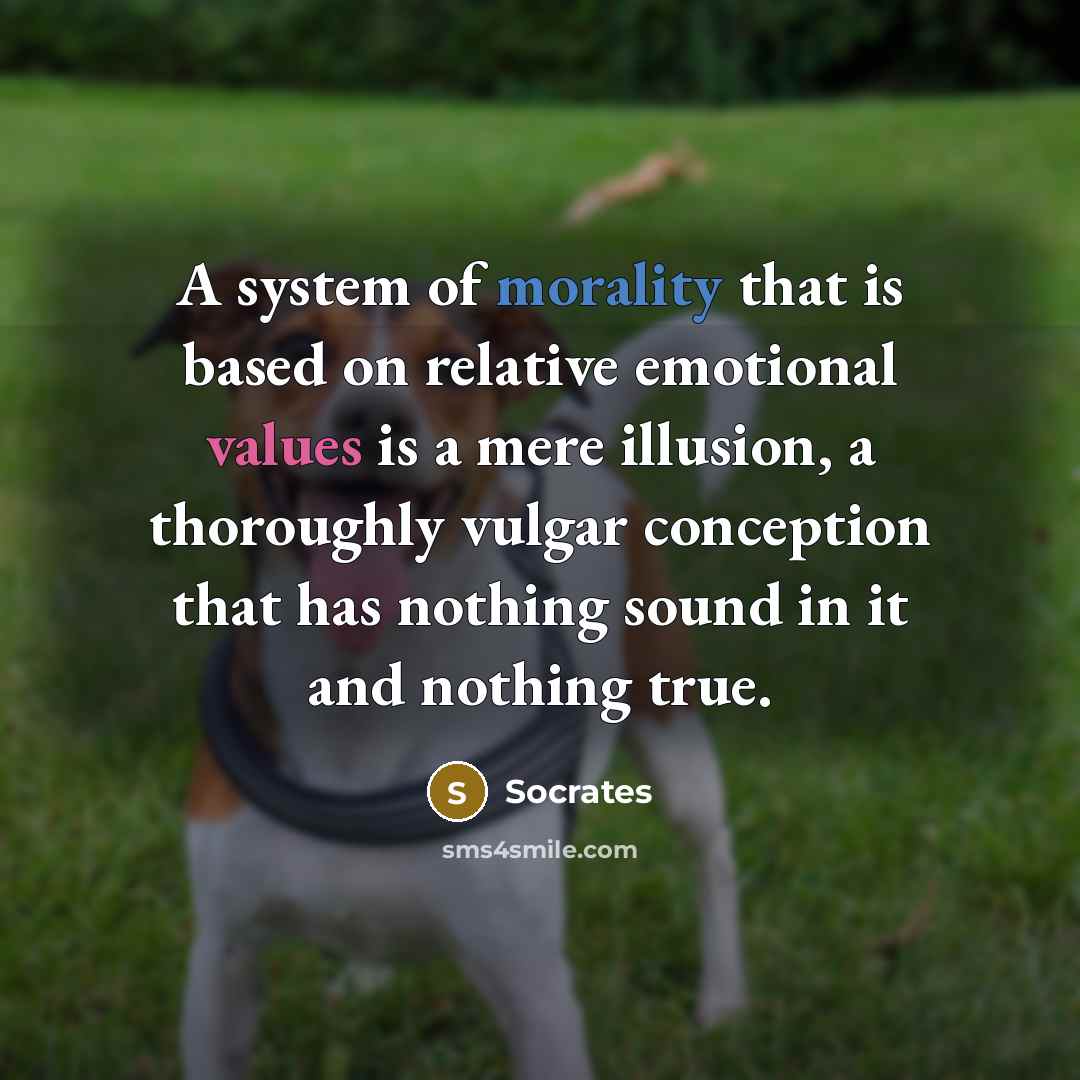 “A system of morality that is based on relative emotional values is a mere illusion, a thoroughly vulgar conception that has nothing sound in it and nothing true.” quote by Socrates