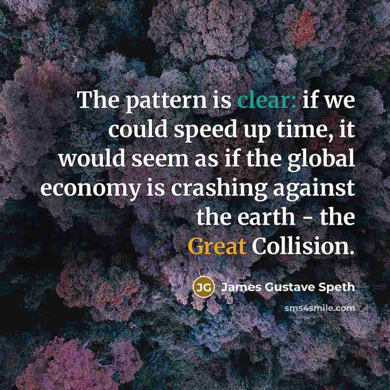 “The pattern is clear: if we could speed up time, it would seem as if the global economy is crashing against the earth - the Great Collision.” quote by James Gustave Speth