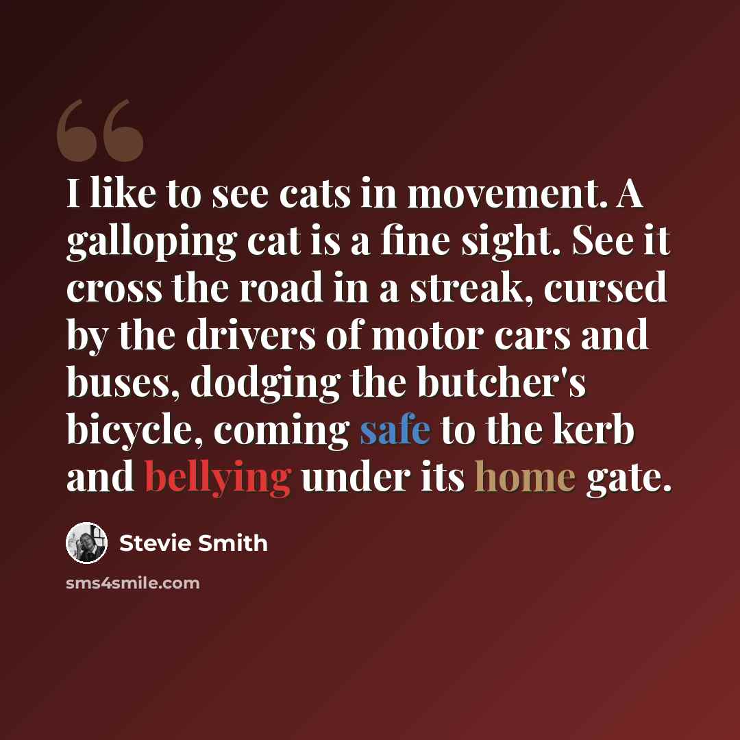 “I like to see cats in movement. A galloping cat is a fine sight. See it cross the road in a streak, cursed by the drivers of motor cars and buses, dodging the butcher's bicycle, coming safe to the kerb and bellying under its home gate.” quote by Stevie Smith