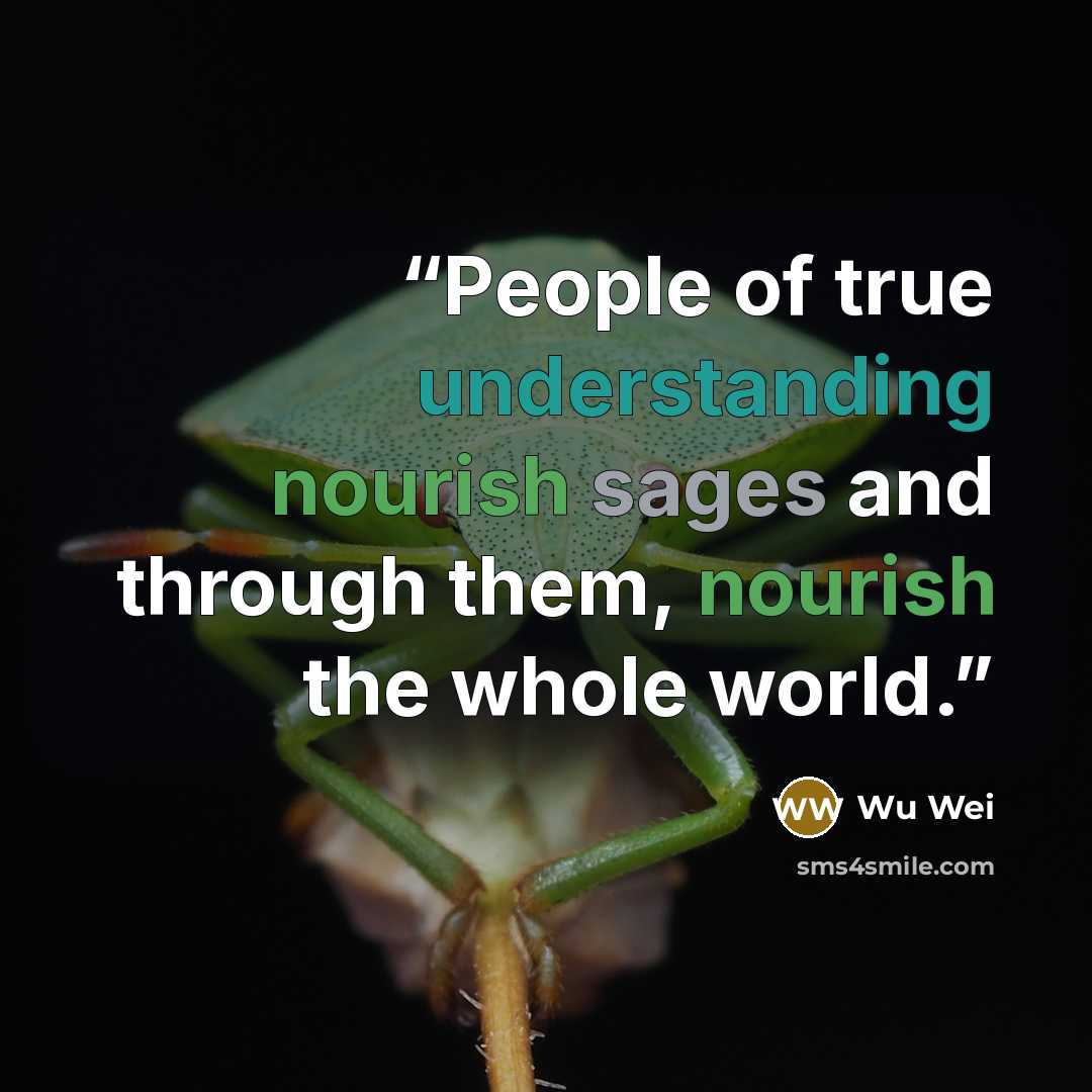 “People of true understanding nourish sages and through them, nourish the whole world.” quote by Wu Wei