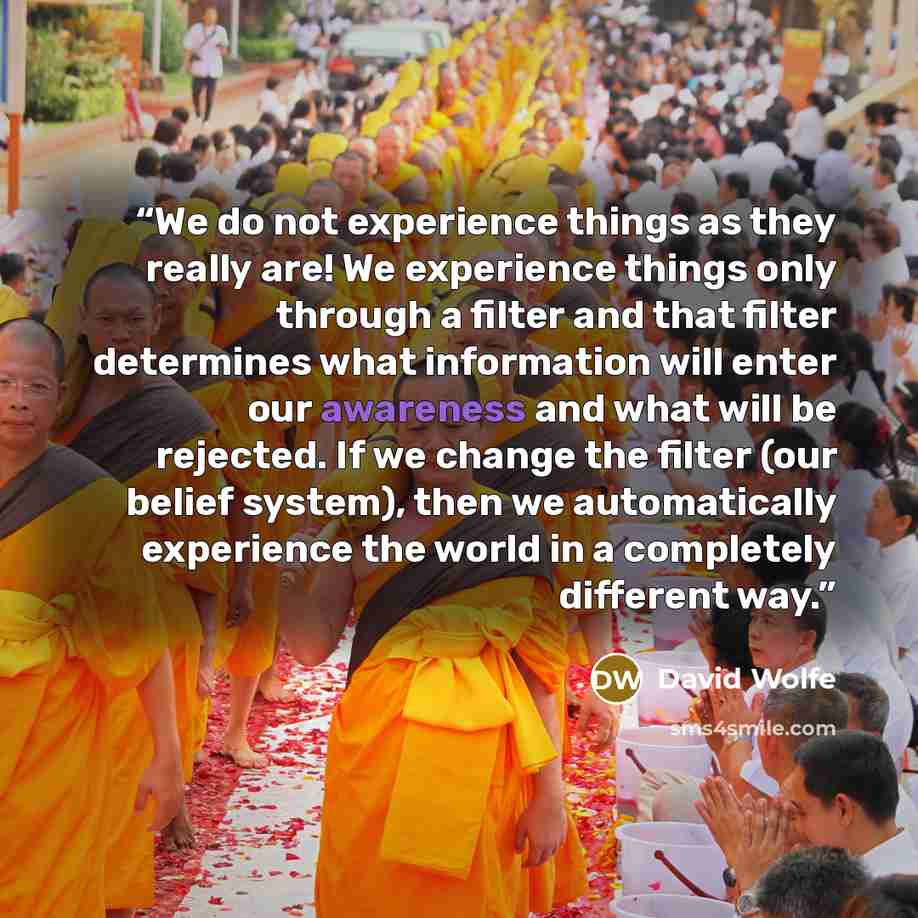 “We do not experience things as they really are! We experience things only through a filter and that filter determines what information will enter our awareness and what will be rejected. If we change the filter (our belief system), then we automatically experience the world in a completely…” quote by David Wolfe