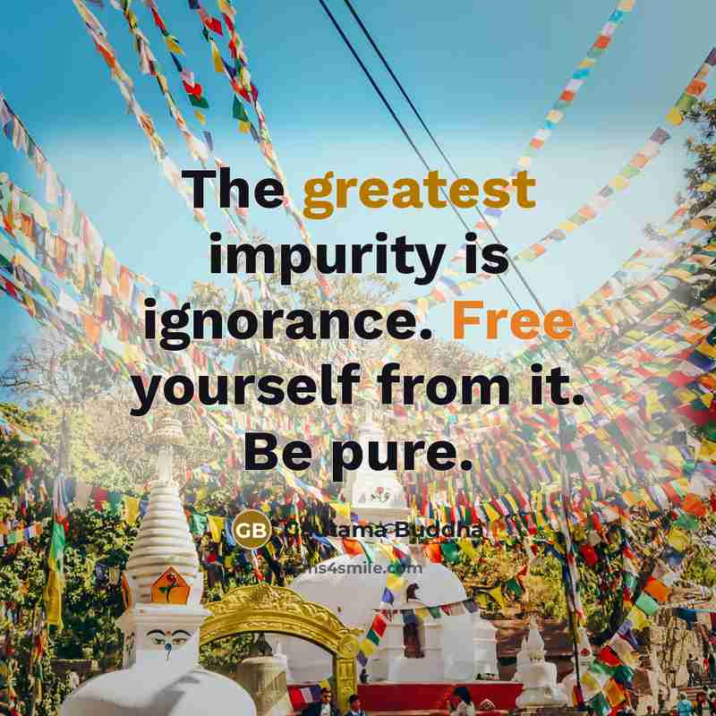 “The greatest impurity is ignorance. Free yourself from it. Be pure.” quote by Gautama Buddha