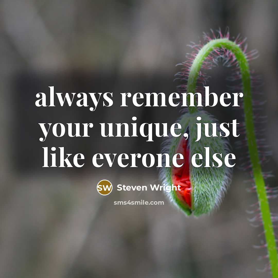 “always remember your unique, just like everone else” quote by Steven Wright