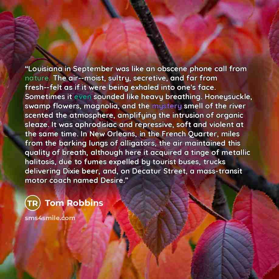 “Louisiana in September was like an obscene phone call from nature. The air--moist, sultry, secretive, and far from fresh--felt as if it were being exhaled into one's face. Sometimes it even sounded like heavy breathing. Honeysuckle, swamp flowers, magnolia, and the mystery smell of the river…” quote by Tom Robbins
