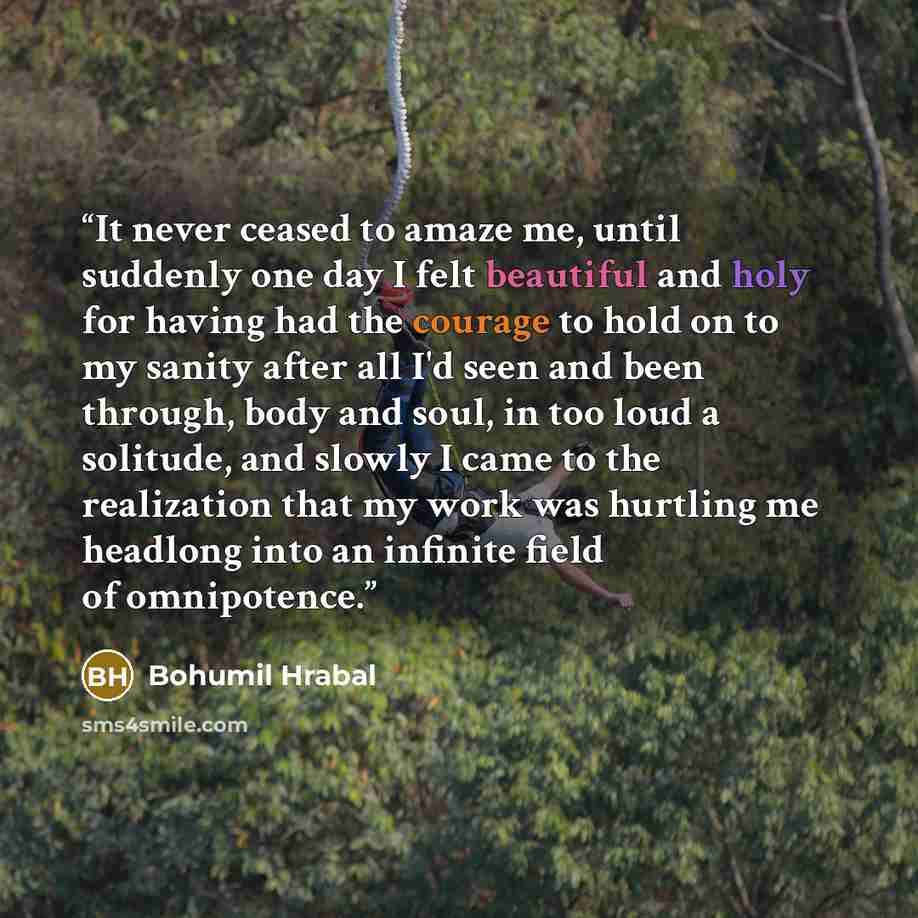 “It never ceased to amaze me, until suddenly one day I felt beautiful and holy for having had the courage to hold on to my sanity after all I'd seen and been through, body and soul, in too loud a solitude, and slowly I came to the realization that my work was hurtling me headlong into an infinite…” quote by Bohumil Hrabal