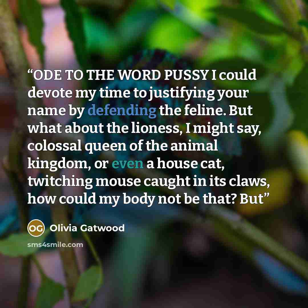 “ODE TO THE WORD PUSSY I could devote my time to justifying your name by defending the feline. But what about the lioness, I might say, colossal queen of the animal kingdom, or even a house cat, twitching mouse caught in its claws, how could my body not be that? But” quote by Olivia Gatwood