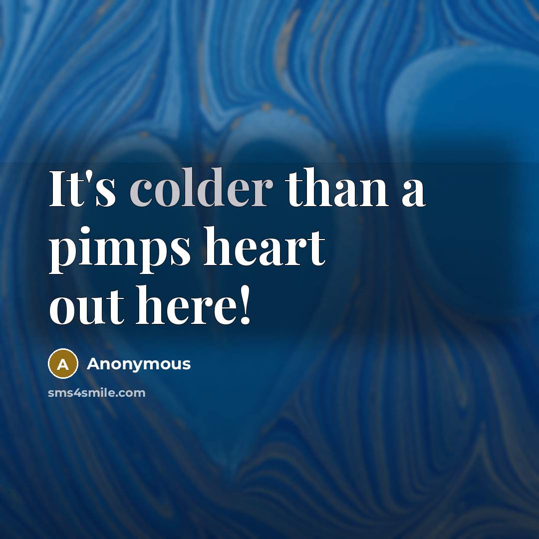 “It's colder than a pimps heart out here!” quote by Anonymous