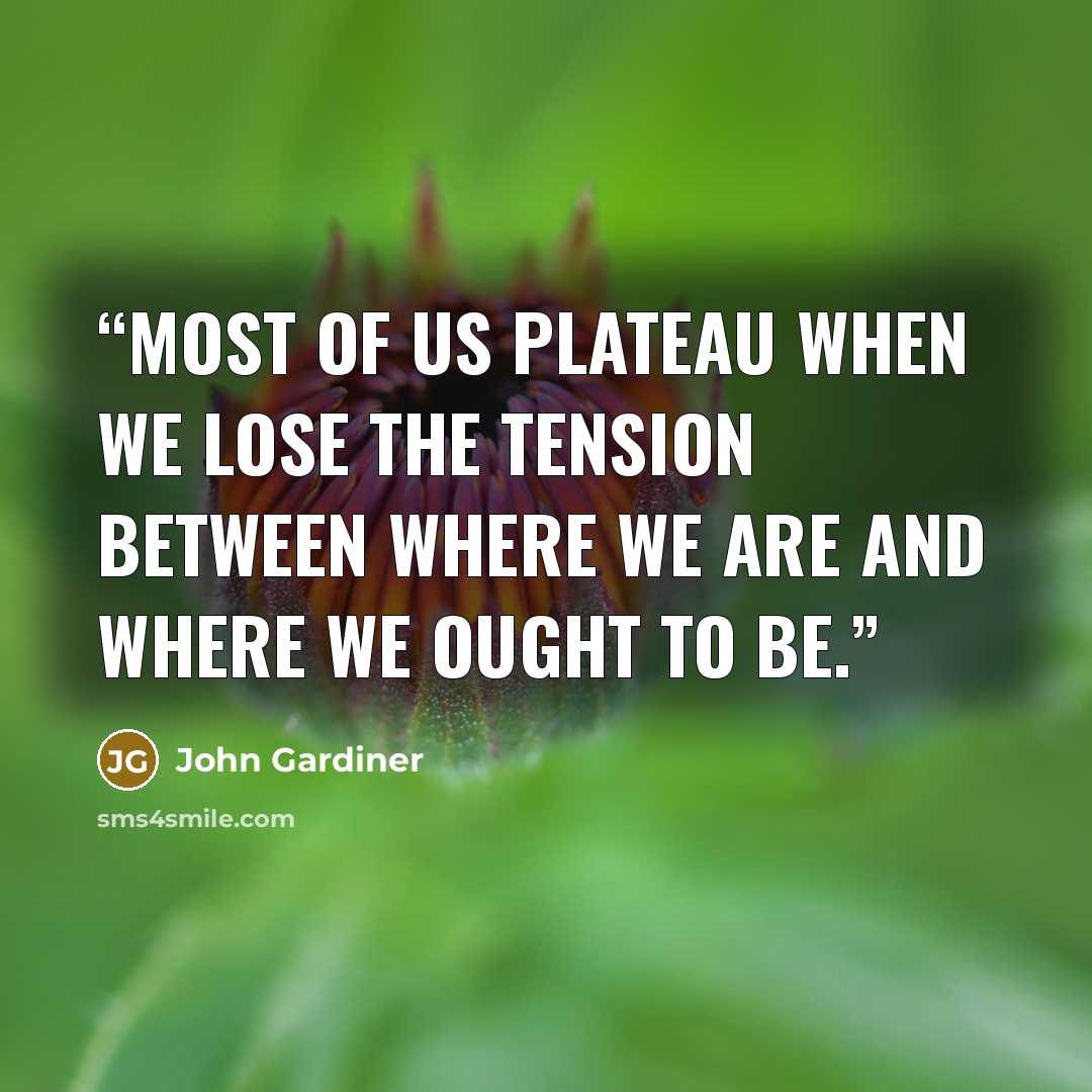 “Most of us plateau when we lose the tension between where we are and where we ought to be.” quote by John Gardiner