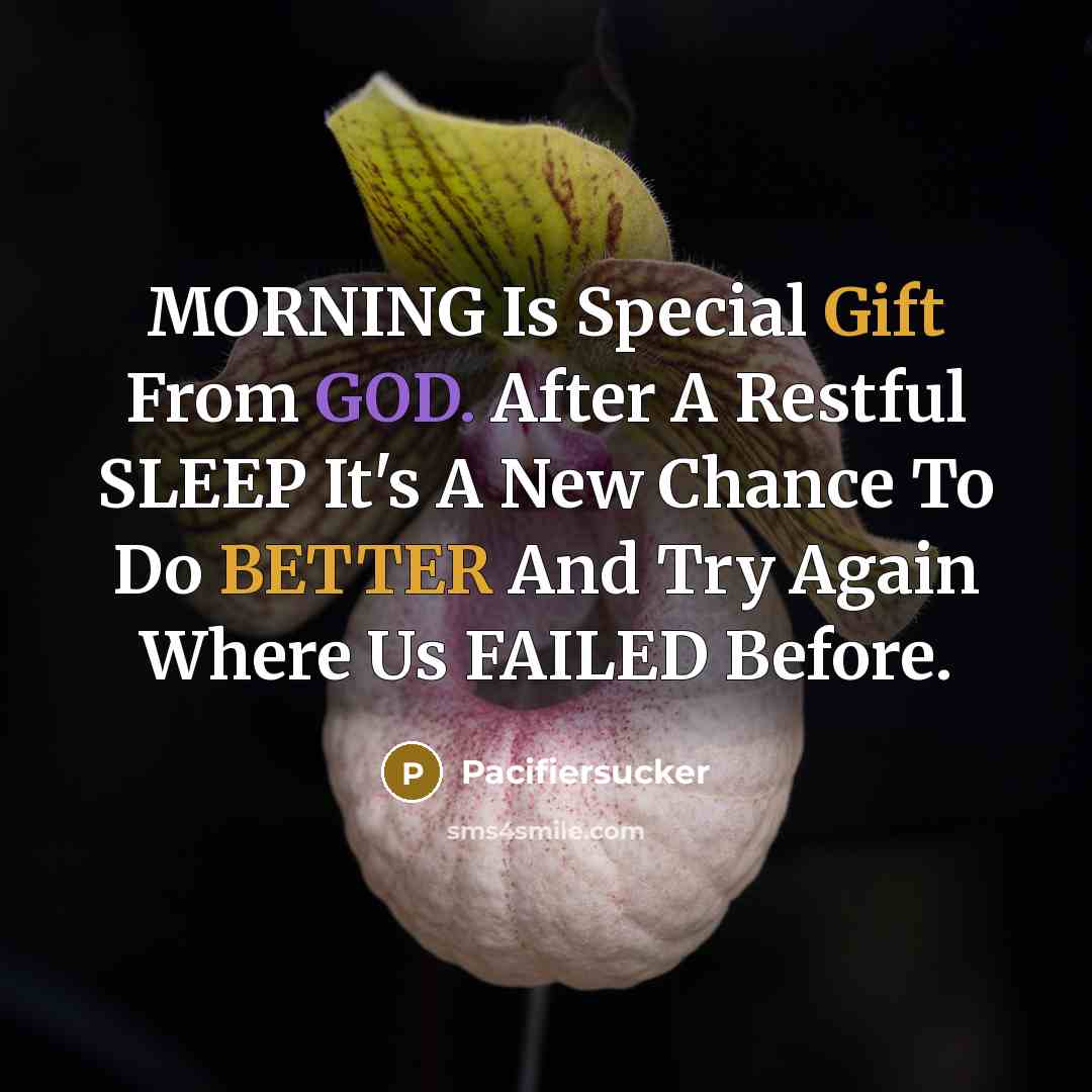 “MORNING Is Special Gift From GOD. After A Restful SLEEP It's A New Chance To Do BETTER And Try Again Where Us FAILED Before.” quote by Pacifiersucker