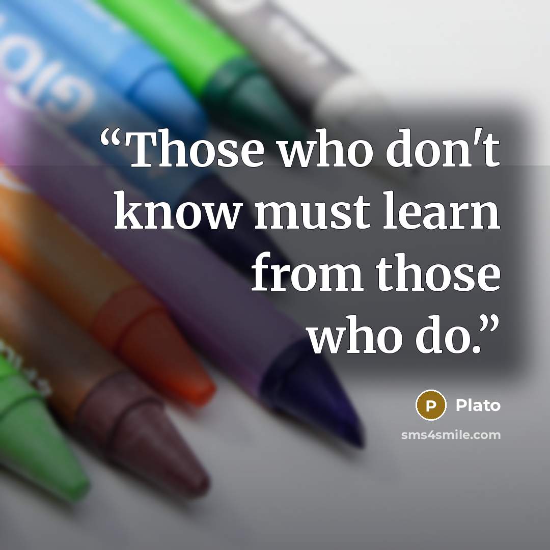 “Those who don't know must learn from those who do.” quote by Plato