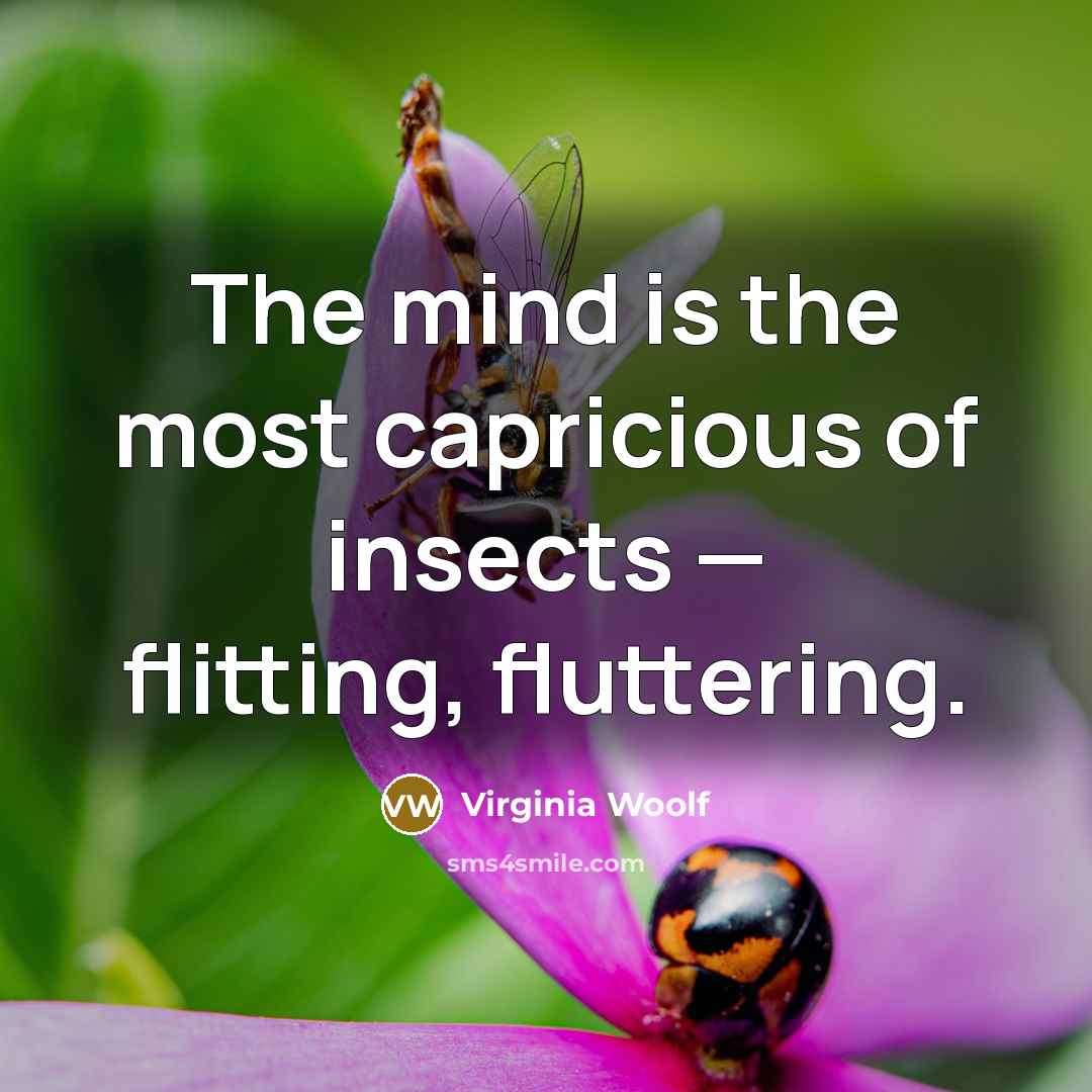 “The mind is the most capricious of insects — flitting, fluttering.” quote by Virginia Woolf
