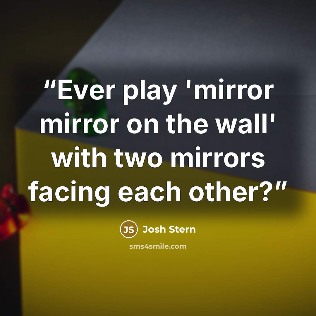 “Ever play 'mirror mirror on the wall' with two mirrors facing each other?” quote by Josh Stern