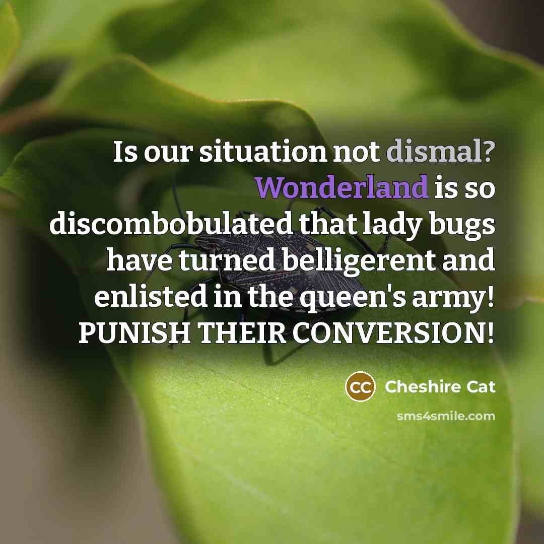 “Is our situation not dismal? Wonderland is so discombobulated that lady bugs have turned belligerent and enlisted in the queen's army! PUNISH THEIR CONVERSION!” quote by Cheshire Cat