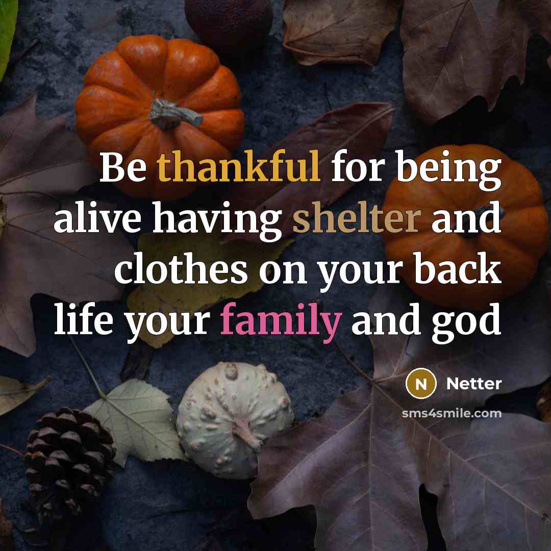 “Be thankful for being alive having shelter and clothes on your back life your family and god” quote by Netter