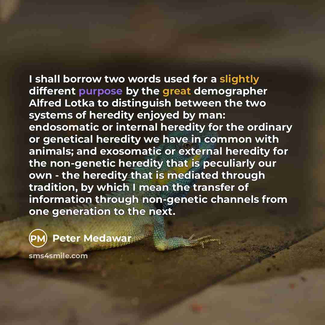 “I shall borrow two words used for a slightly different purpose by the great demographer Alfred Lotka to distinguish between the two systems of heredity enjoyed by man: endosomatic or internal heredity for the ordinary or genetical heredity we have in common with animals; and exosomatic or external…” quote by Peter Medawar