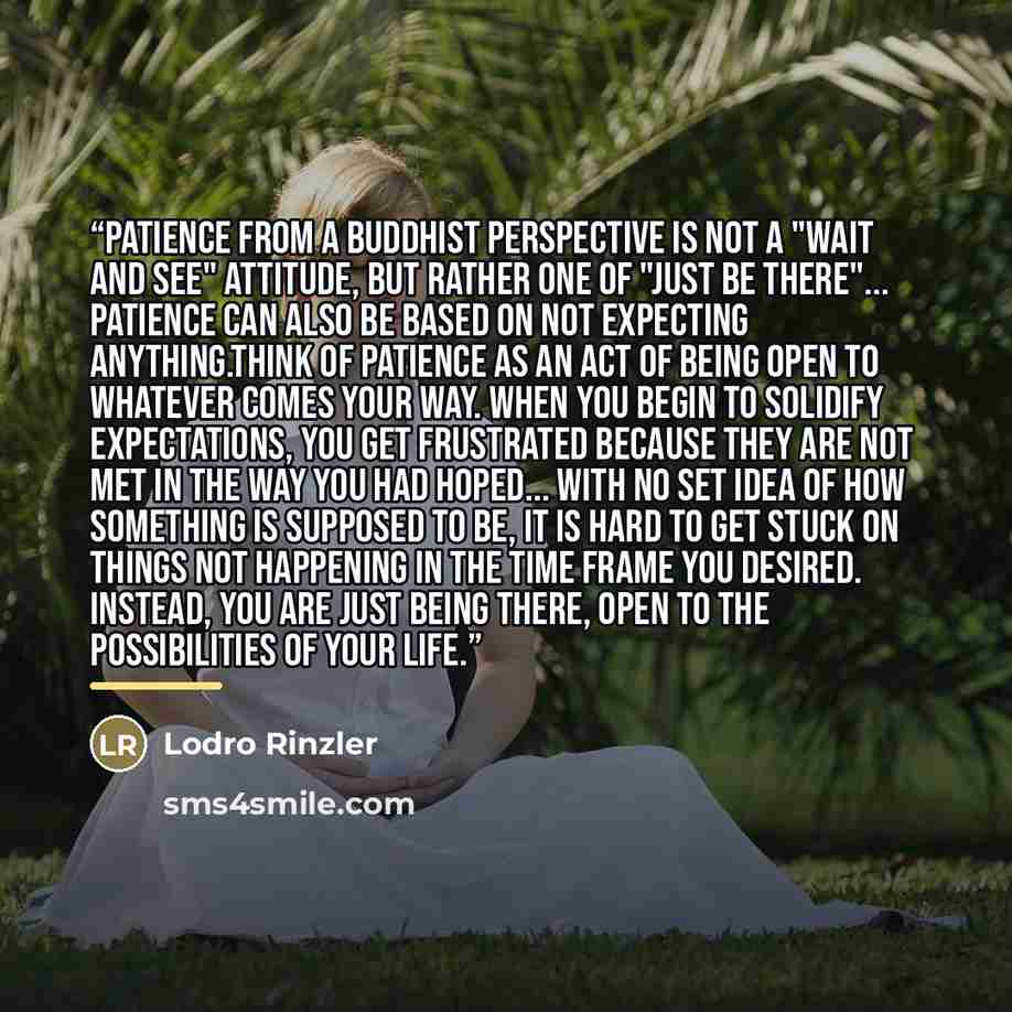 “Patience from a Buddhist perspective is not a "wait and see" attitude, but rather one of "just be there"... Patience can also be based on not expecting anything.Think of patience as an act of being open to whatever comes your way. When you begin to solidify expectations, you get frustrated because…” quote by Lodro Rinzler