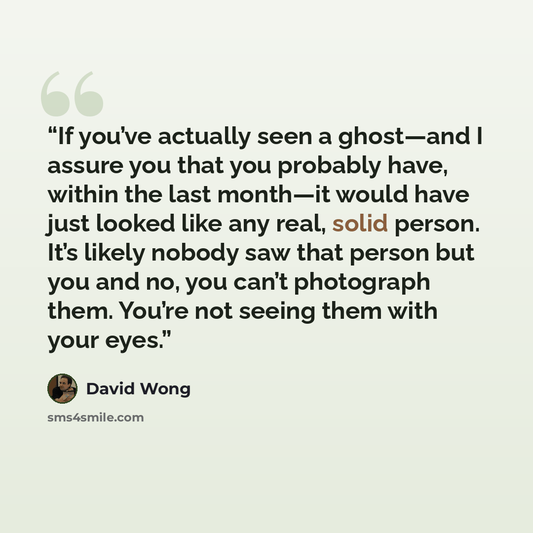 “If you’ve actually seen a ghost—and I assure you that you probably have, within the last month—it would have just looked like any real, solid person. It’s likely nobody saw that person but you and no, you can’t photograph them. You’re not seeing them with your eyes.” quote by David Wong